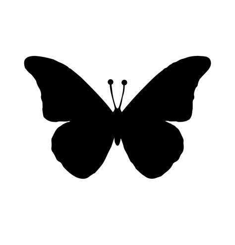 Black Butterfly Free Stock Photo - Public Domain Pictures