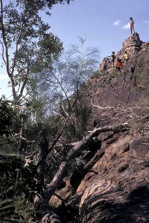 Malandari hill | Borroloola | Northern Territory | Australia | OzOutback