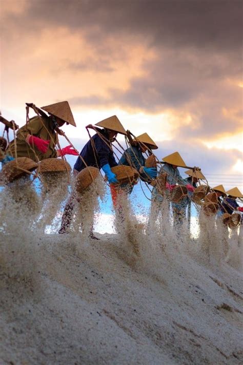 Vietnam Discovery Travel - Discover Vietnam your way