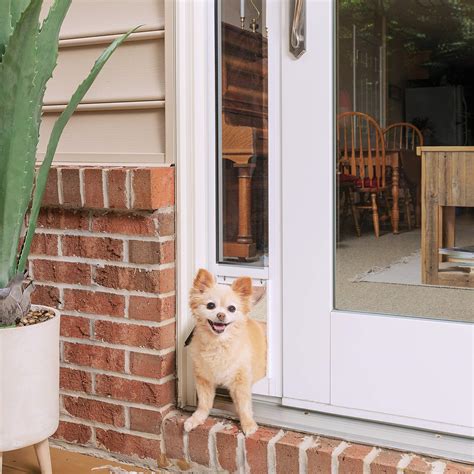 Buy PetSafe Sliding Glass Cat and Dog Door Insert - Great for Rentals and Apartments - No ...