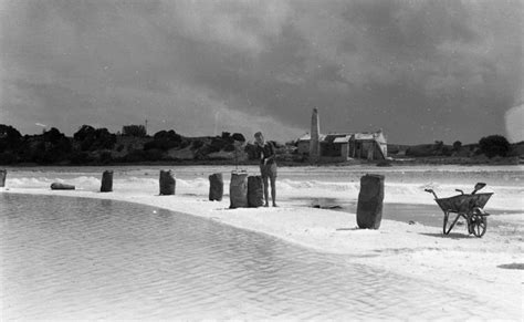 Rottnest Island’s past comes alive in new interactive photo display | The West Australian