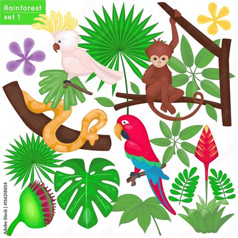 Rainforest and jungle life set. Tropical animals and plants. Vector ...