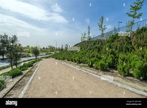 An urban park with a sandy path flanked by flowering plants, hedges and ...