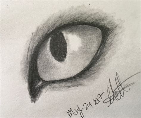 How to Draw a Cat Eye. : 7 Steps (with Pictures) - Instructables