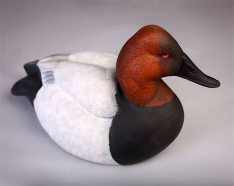 Canvasback Drake by Patrick Eubanks | Decoy carving, Duck art, Bird carving