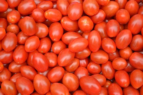 Baby Plum Tomatoes Free Stock Photo - Public Domain Pictures