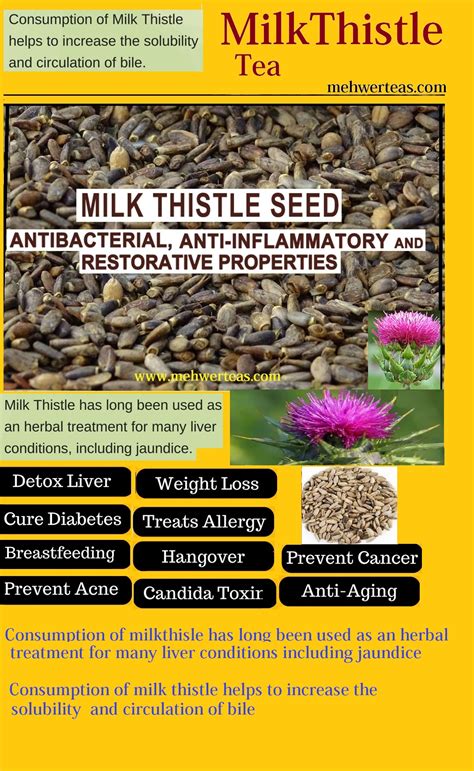 MILK THISTLE SEEDS| Online Herb Store | Mehwerteas.....