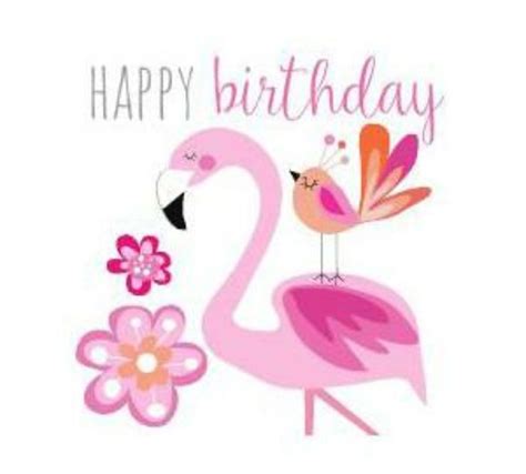 Happy Birthday Flamingo Gif - health