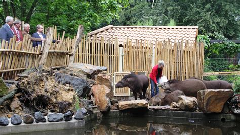 Zoo Osnabrück eröffnet vergrößtere Außenanlage für südamerikanische Vierer-WG | Parkerlebnis.de