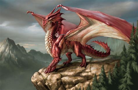 A REAL Welsh dragon New dinosaur discovered in Wales