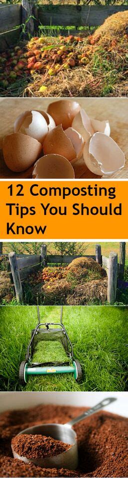 12 Composting Tips You Should Know ~ Bless My Weeds