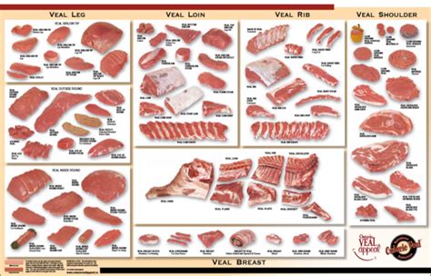 Primal, Sub-primal, and Secondary Cuts – Meat Cutting and Processing ...