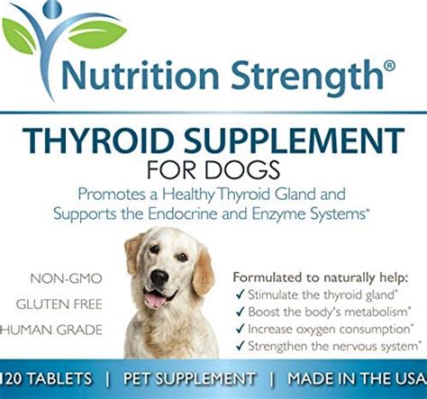 What Happens When A Dog Has Thyroid Problems