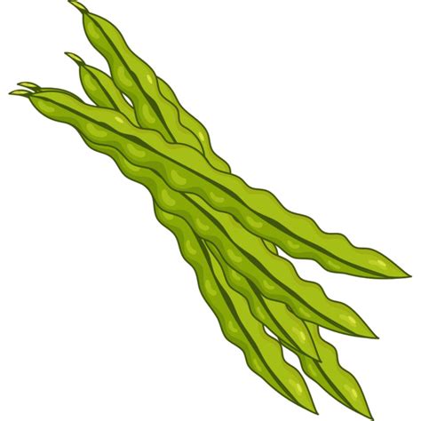 Green Beans Transparent Image | PNG Arts