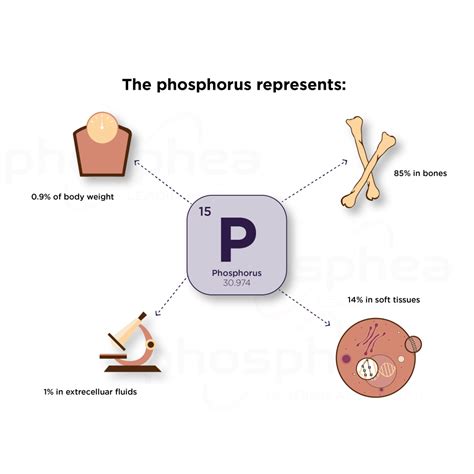 Phosphorus is one of the most important minerals in animal nutrition