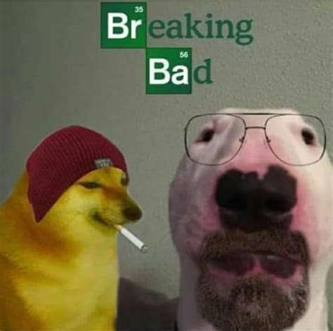 Breaking Bad (Doge edition) : r/breakingbad