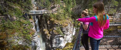 Maligne Valley Tour & Maligne Lake Cruise | Discover Banff Tours