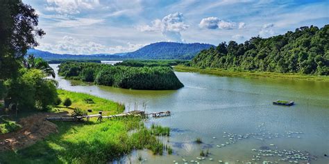 Cerita di sebalik kemusnahan Hutan Simpan Tasik Chini