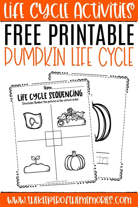 Free Printable Pumpkin Life Cycle - The Keeper of the Memories