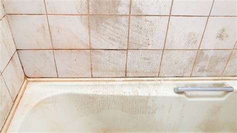 Is Pink Mold in the Shower Dangerous? Mold Experts Weigh In