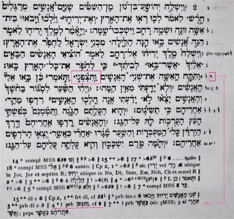 Manuscripts of the Tanach