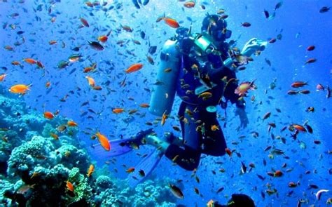 Go Scuba Diving In Andaman At These 15 Unexplored Sites