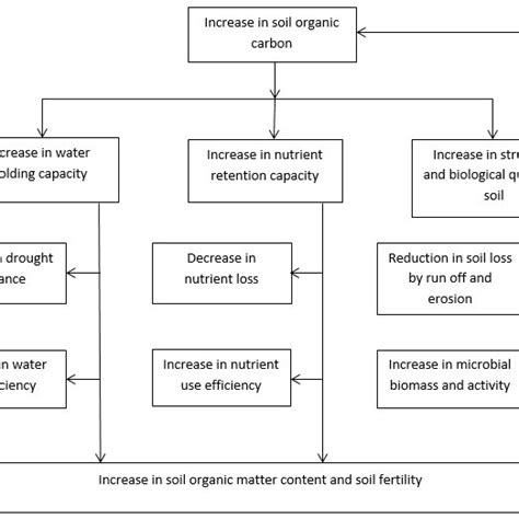 1. Effects of increasing soil organic matter content and soil fertility... | Download Scientific ...