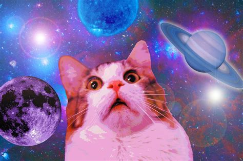 space-cat-wallpapers-for-iphone-For-Desktop-Wallpaper - Colour Youth