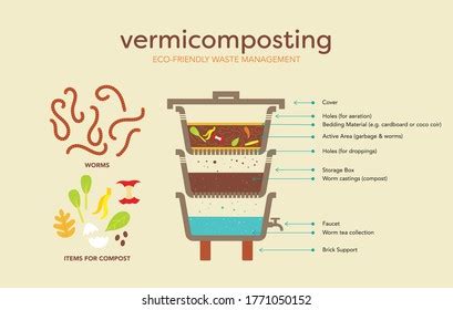 1,793 Vermicompost Images, Stock Photos, 3D objects, & Vectors ...