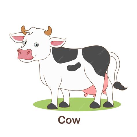 Premium Vector | Vocabulary flash card for kids. cow with picture of cow