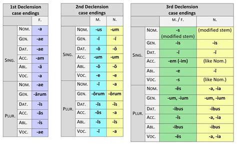 case endings of the first, second, and third declensions | Latin, Conjugation chart, Classical ...