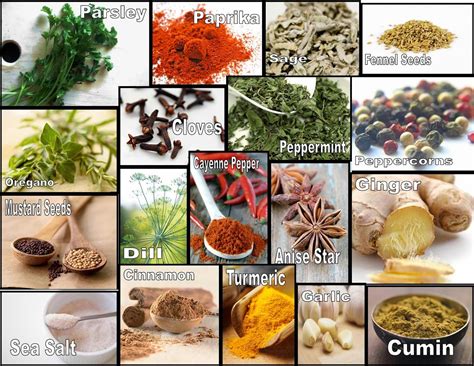 Culinary Physics: List of Common Herbs and Spices and Their Uses