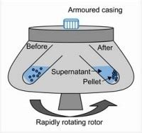 Centrifugation Theory