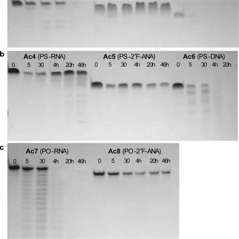 Mechanism of acid-catalyzed depurination and cleavage in DNA, shown for ...