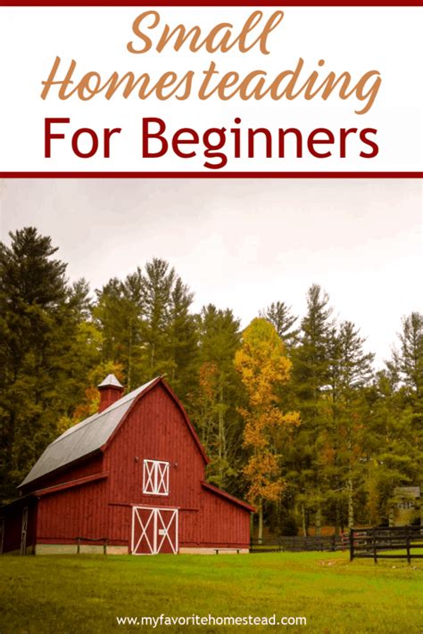 Small Homesteading: The Beginner's Guide - My Favorite Homestead