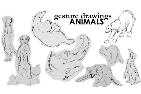 Animal Gesture Drawings by becsketch on DeviantArt