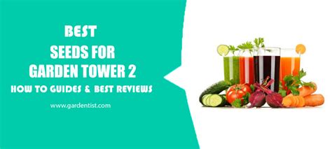 Seeds For Garden Tower 2 Review | Seeds For Garden Tower 2 Buyer's Guide