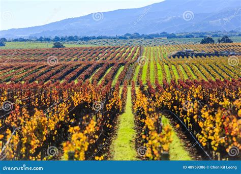 Salinas Valley stock photo. Image of high, salinas, colorful - 48959386