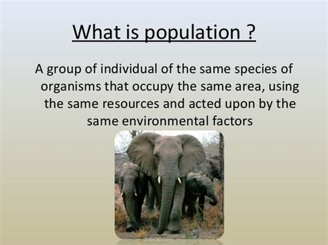 Population ecology