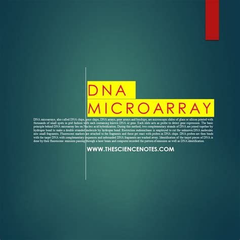 DNA MICROARRAY: PRINCIPLE, TYPES, PROCEDURE AND APPLICATIONS - The ...