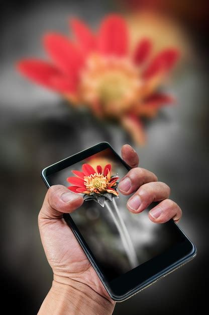 Premium Photo | Mobile photography concept. hand holding smartphone and ...