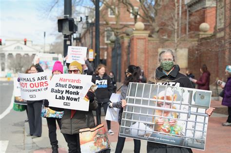 Dozens of Protesters Call on Harvard President Bacow to Shut Down HMS Lab Conducting Primate ...