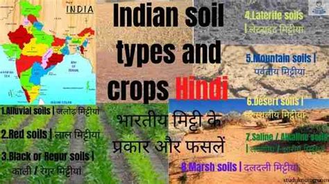 Indian soil types and crops Hindi|भारतीय मिट्टी के प्रकार और फसलें