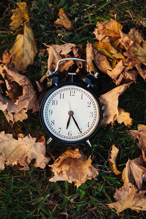 Clock, alarm clock, time, leaves, autumn, aesthetics, HD phone ...