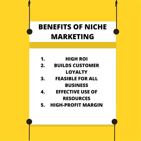 What is Niche Marketing? Examples & Strategies