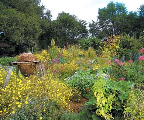 Bee Garden 101: How to Plant a Beautiful Bee-friendly Garden