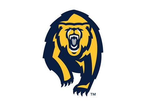 Cal Athletics Unveils Updated Brand Identity for Golden Bears - Nike News