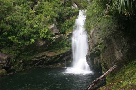 Wainui Falls - Largest Most Accessible Abel Tasman Waterfall