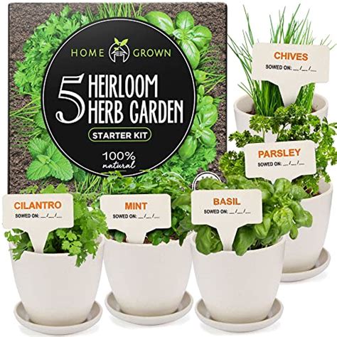 Home Gardening Kits - Bloom Shower