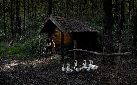 HD wallpaper: Brood of Goose Beside Brown House, animals, cabin ...